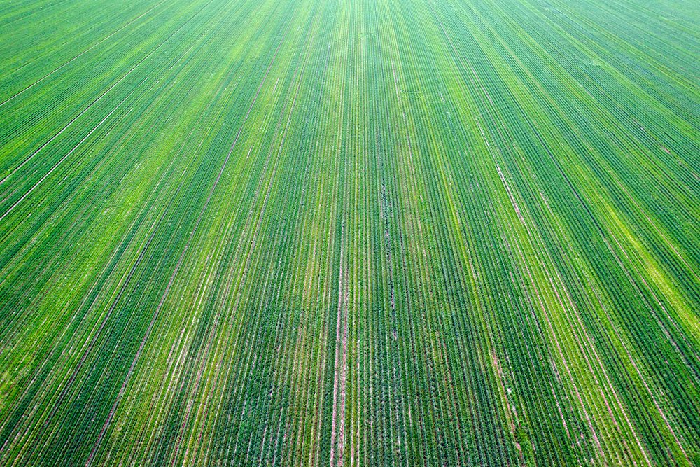 6616ab8ed8c3c268632d0a1d_web-agricultural-patterns-ii-hay-plains_1770601139971.jpg