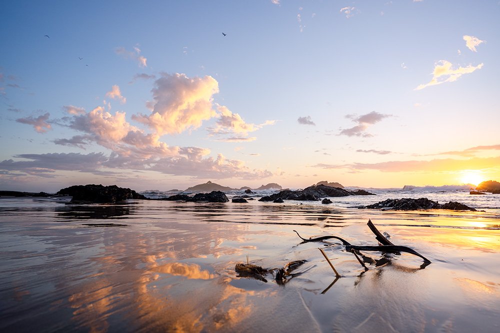 6616ab8ed8c3c268632d0a1d_web-driftwood-at-dawn-sawtell_1784188710777.jpg