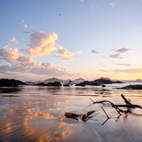 6616ab8ed8c3c268632d0a1d_web-driftwood-at-dawn-sawtell_1784188710777.jpg