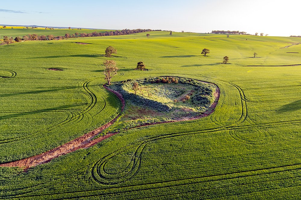 6616ab8ed8c3c268632d0a1d_web-farming-around-the-island-temora_1771744482650.jpg