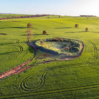 6616ab8ed8c3c268632d0a1d_web-farming-around-the-island-temora_1771744482650.jpg