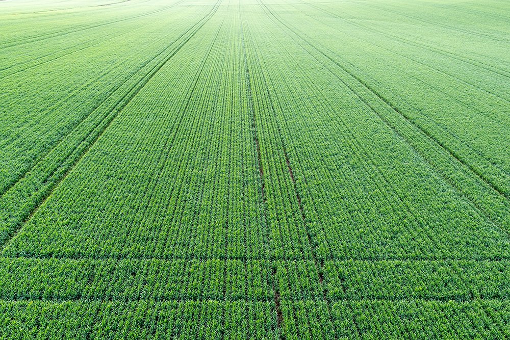 6616ab8ed8c3c268632d0a1d_web-green-crop-patterns-temora_1771744248663.jpg