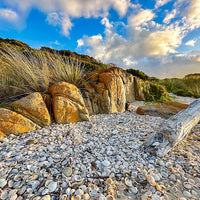 6616ab8ed8c3c268632d0a1d_web-mother-nature-s-textures-falmouth_1784175670011.jpg