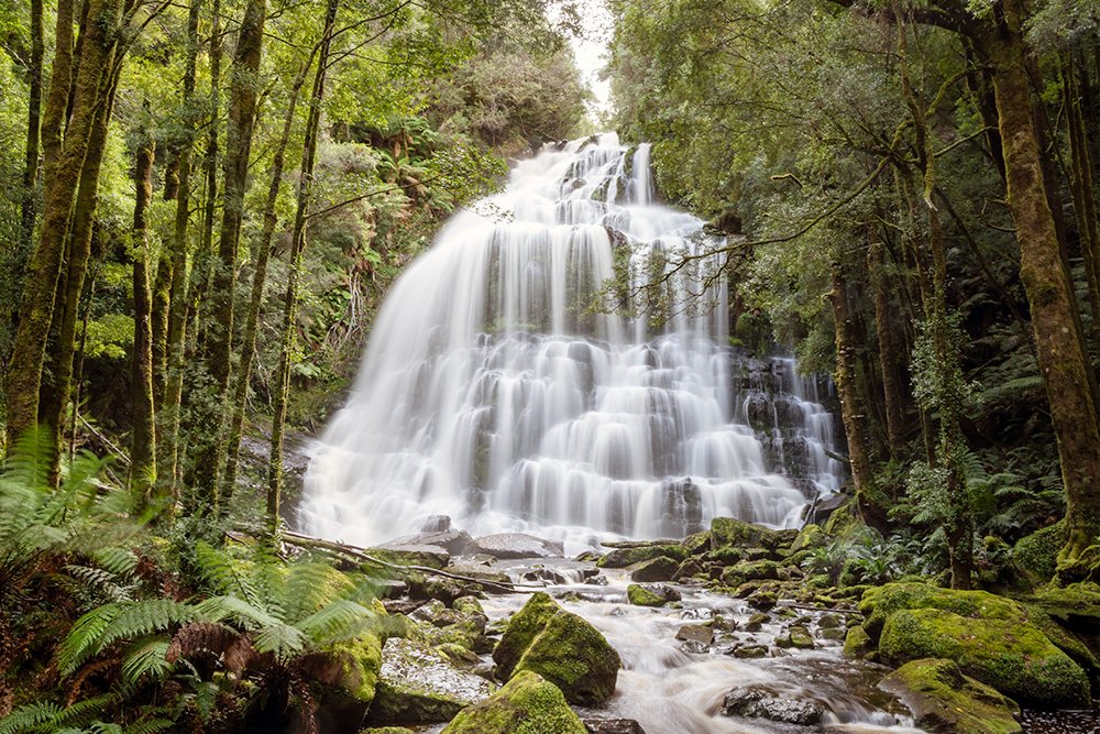 6616ab8ed8c3c268632d0a1d_web-nelson-falls-tasmania-landscape_1770601857307.jpg