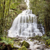 6616ab8ed8c3c268632d0a1d_web-nelson-falls-tasmania-landscape_1770601857307.jpg