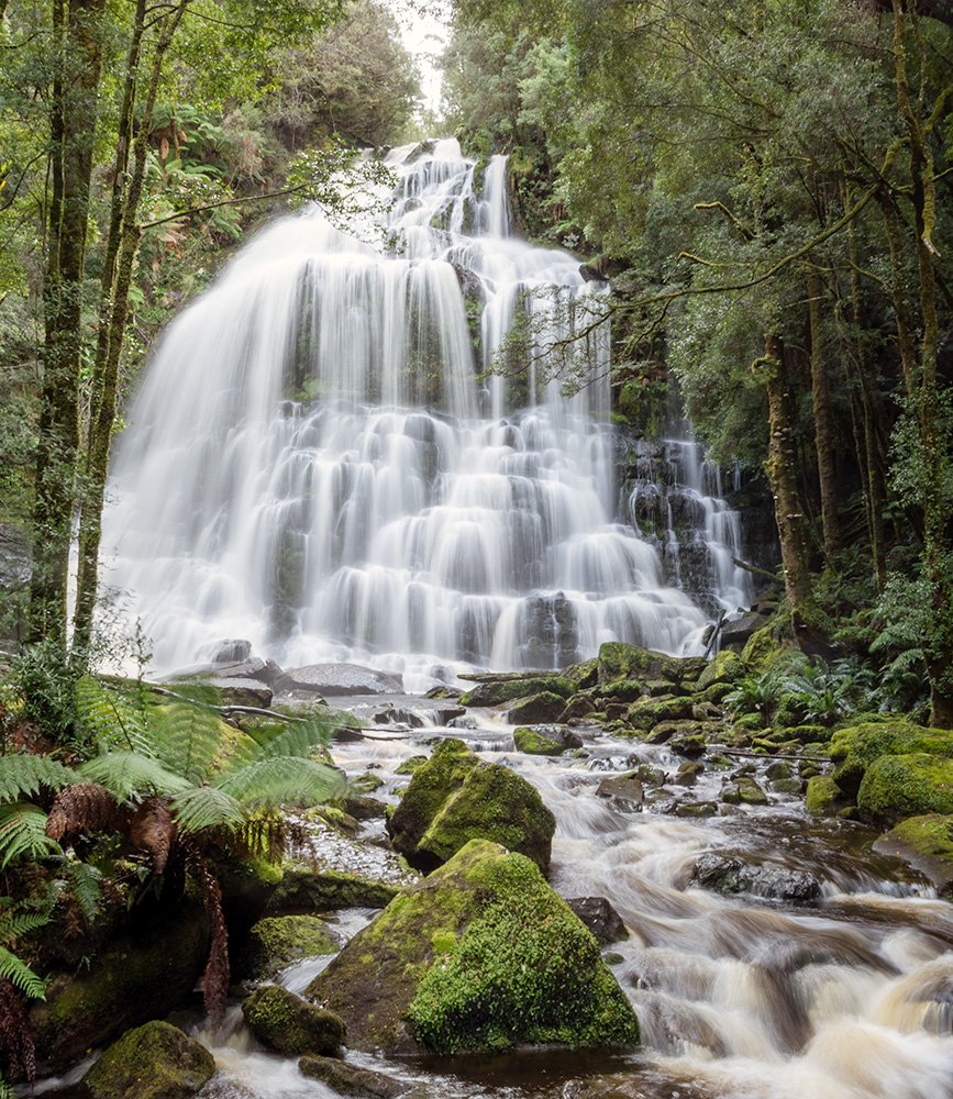 6616ab8ed8c3c268632d0a1d_web-nelson-falls-tasmania-portrait_1770601954703.jpg