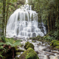 6616ab8ed8c3c268632d0a1d_web-nelson-falls-tasmania-portrait_1770601954703.jpg