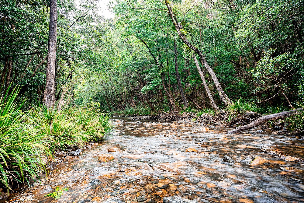 6616ab8ed8c3c268632d0a1d_web-never-never-creek-promised-land-bellingen_1771747041672.jpg