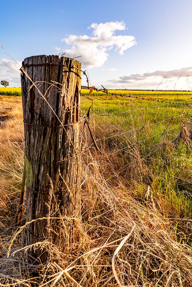 6616ab8ed8c3c268632d0a1d_web-old-fence-post-temora_1771744134735.jpg