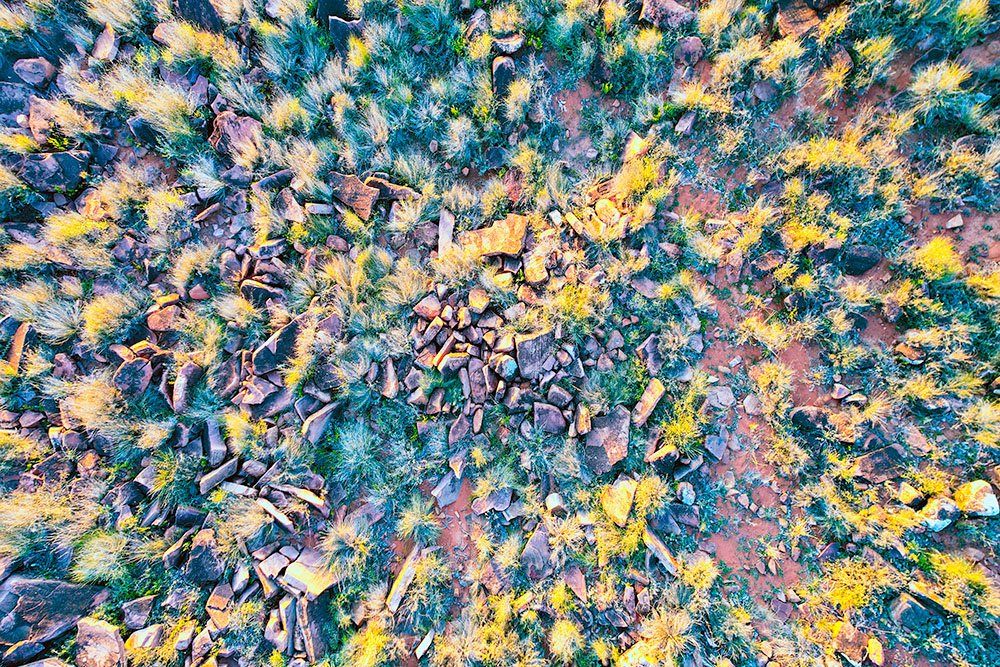 6616ab8ed8c3c268632d0a1d_web-outback-patterns-bourke_1770602299798.jpg