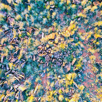 6616ab8ed8c3c268632d0a1d_web-outback-patterns-bourke_1770602299798.jpg