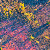 6616ab8ed8c3c268632d0a1d_web-outback-patterns-ii-bourke_1770602437239.jpg