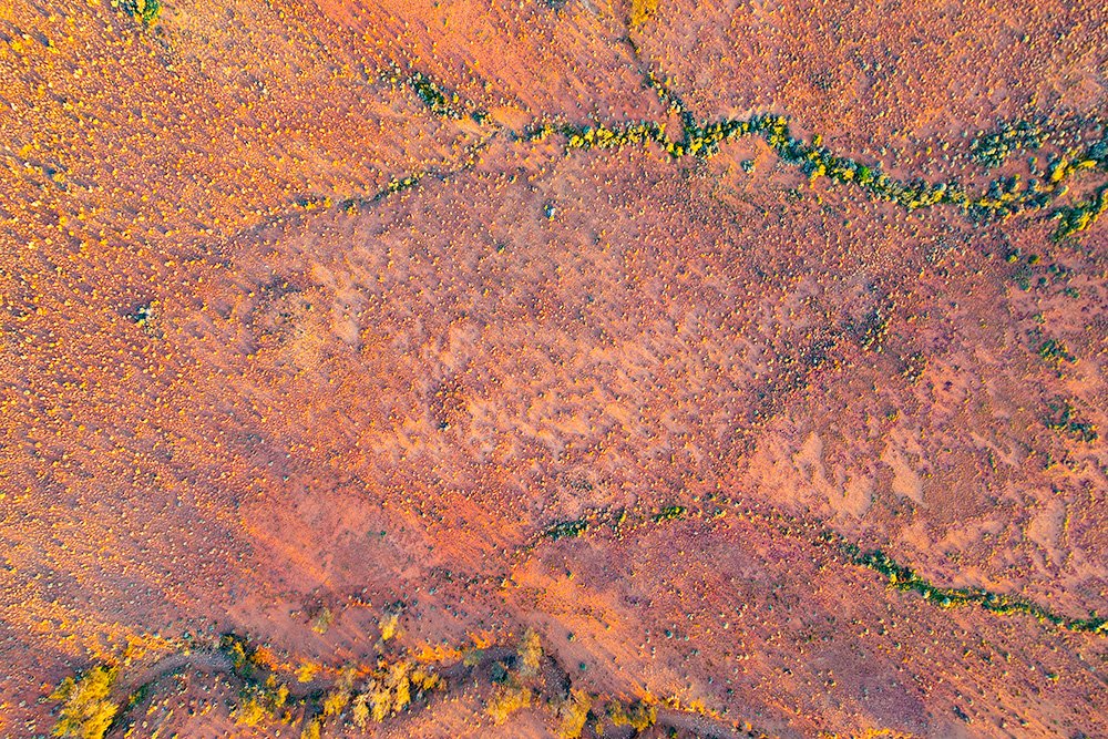 6616ab8ed8c3c268632d0a1d_web-outback-patterns-iii-bourke_1770602562619.jpg