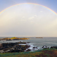 6616ab8ed8c3c268632d0a1d_web-rainbow-sawtell_1771747587317.jpg