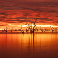6616ab8ed8c3c268632d0a1d_web-sky-on-fire-ii-menindee-lakes-new-south-wales_1771746596619.jpg