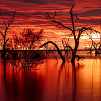 6616ab8ed8c3c268632d0a1d_web-sky-on-fire-iii-menindee-lakes-new-south-wales_1771746691080.jpg