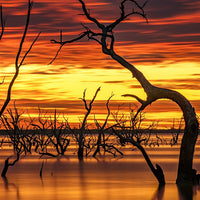 6616ab8ed8c3c268632d0a1d_web-sky-on-fire-menindee-lakes-new-south-wales_1771746471083.jpg