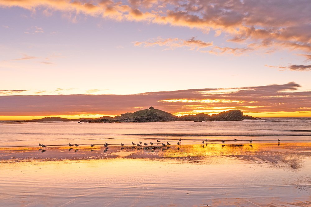 6616ab8ed8c3c268632d0a1d_web-sunrise-gathering-sawtell_1784188877600.jpg