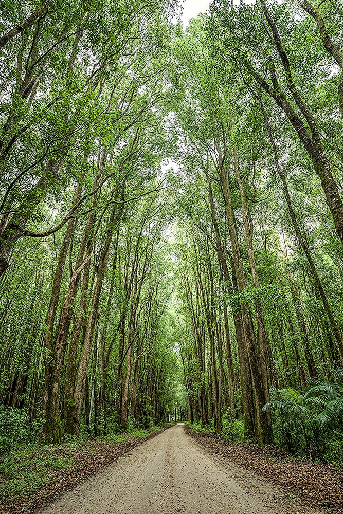 6616ab8ed8c3c268632d0a1d_web-the-road-ahead-promised-land-bellingen_1771747222523.jpg