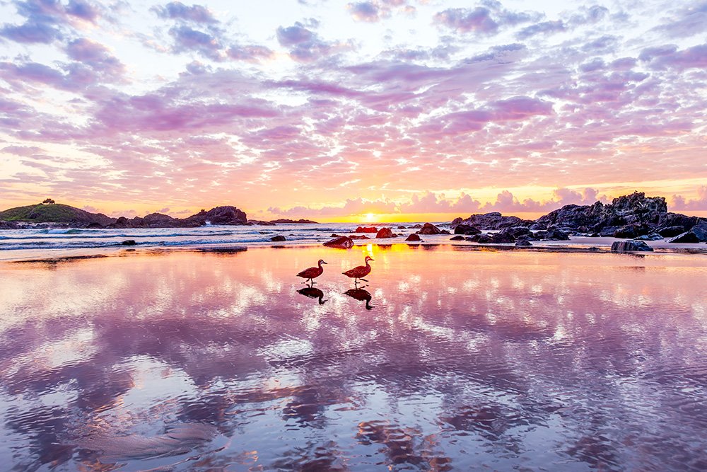 6616ab8ed8c3c268632d0a1d_web-two-ducks-sawtell_1784189232397.jpg