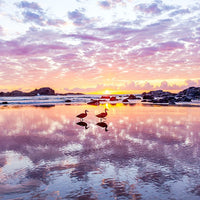 6616ab8ed8c3c268632d0a1d_web-two-ducks-sawtell_1784189232397.jpg