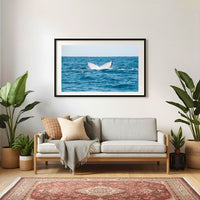 6616ab8ed8c3c268632d0a1d_whale-tail-at-manly-nsw-black-frame_1765689964740.jpg