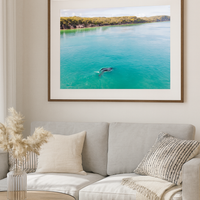 6616ab8ed8c3c268632d0a1d_whales-2_1768025103974.png