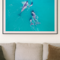 6616ab8ed8c3c268632d0a1d_whales_1765528188461.png