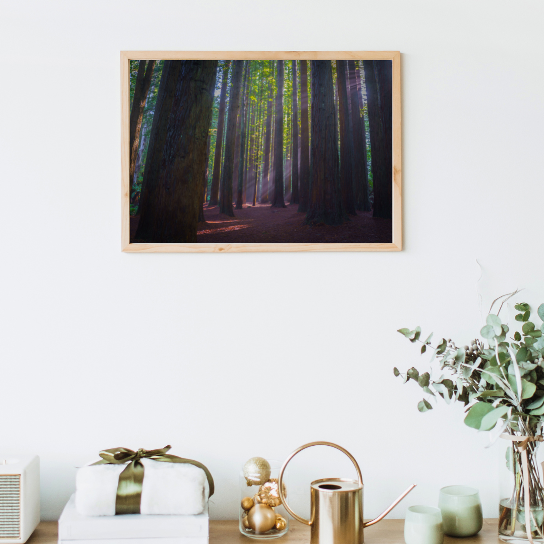 6616ab8ed8c3c268632d0a1d_white-modern-wall-art-photo-frame-instagram-post_1765527919943.png