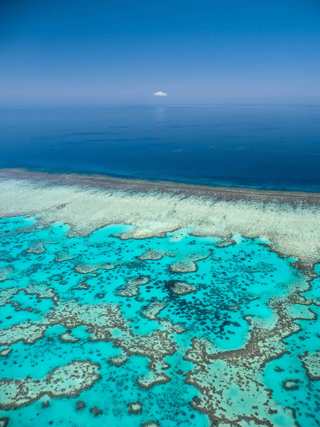 6616ab8ed8c3c268632d0a1d_wistari-reef_1791589953310.jpg