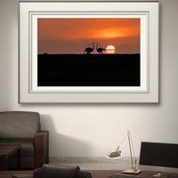 African Dream