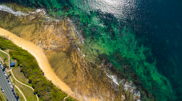 Alex Coastline Abstract