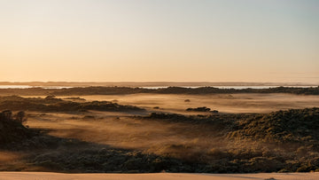BEACHPORT CONSERVATION PARK