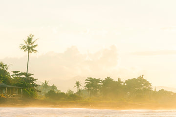 Bali Haze 1