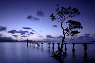 Blue Hour - 1
