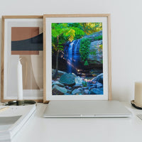 Buderim Falls, Sunshine Coast