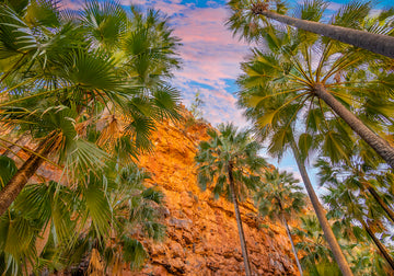 COLOURS OF EMMA GORGE