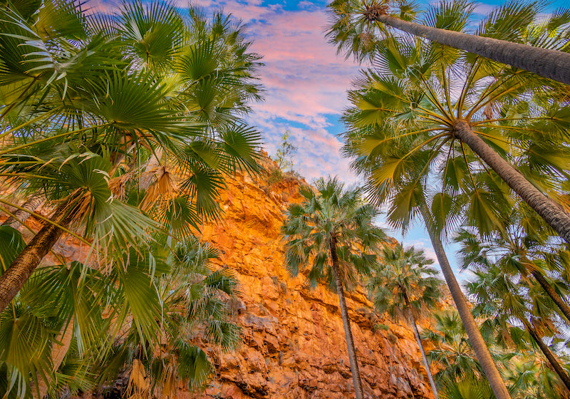 COLOURS OF EMMA GORGE