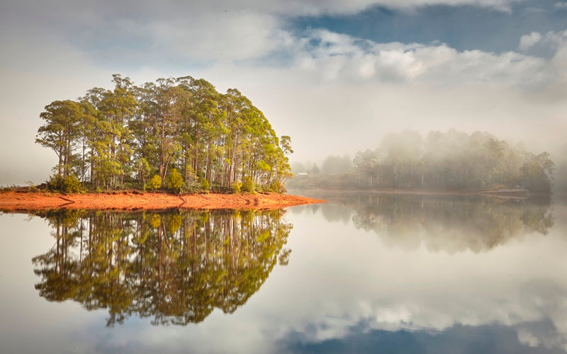 Clearing Mist - 1