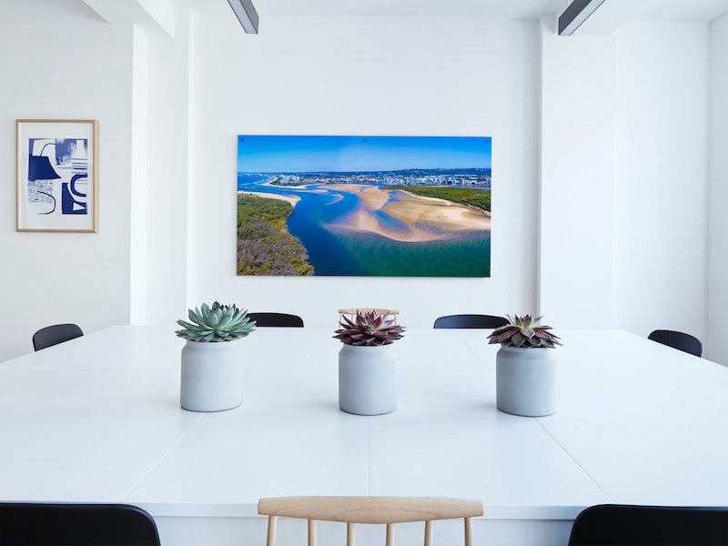 Cotton Tree Pano