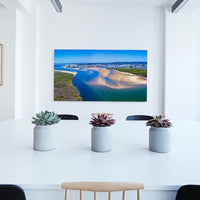 Cotton Tree Pano