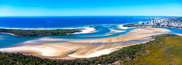Cotton Tree Pano 2