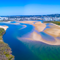 Cotton Tree Pano