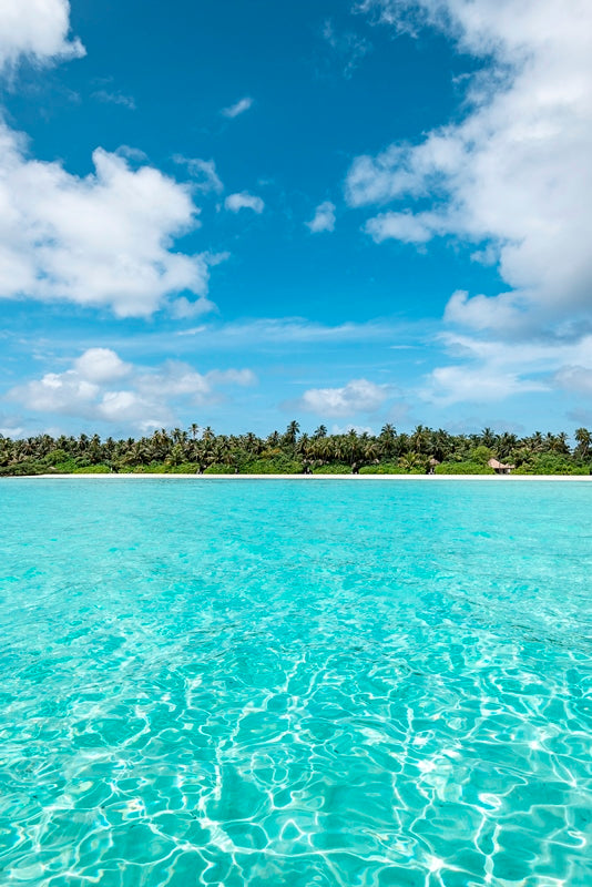 Dreaming of Paradise