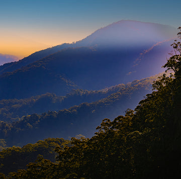 Fog covering the mountain