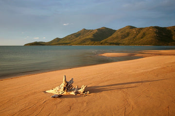Gloucester Island - 1