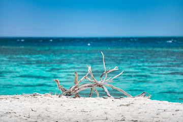 HERON ISLAND BLUES