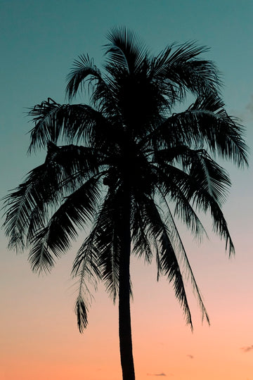 Indonesia sunset