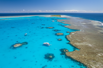 Lady Musgrave Island