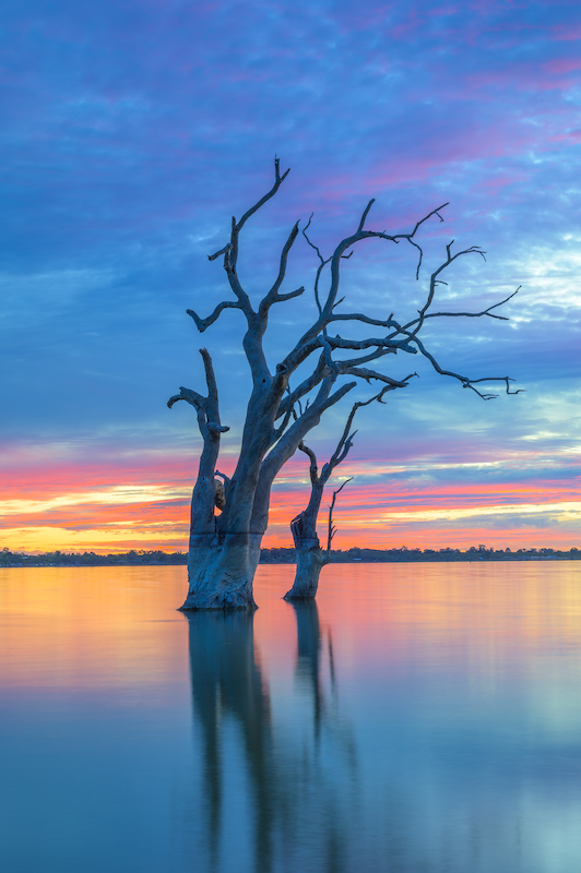Lake Bonney Colourful Sunset